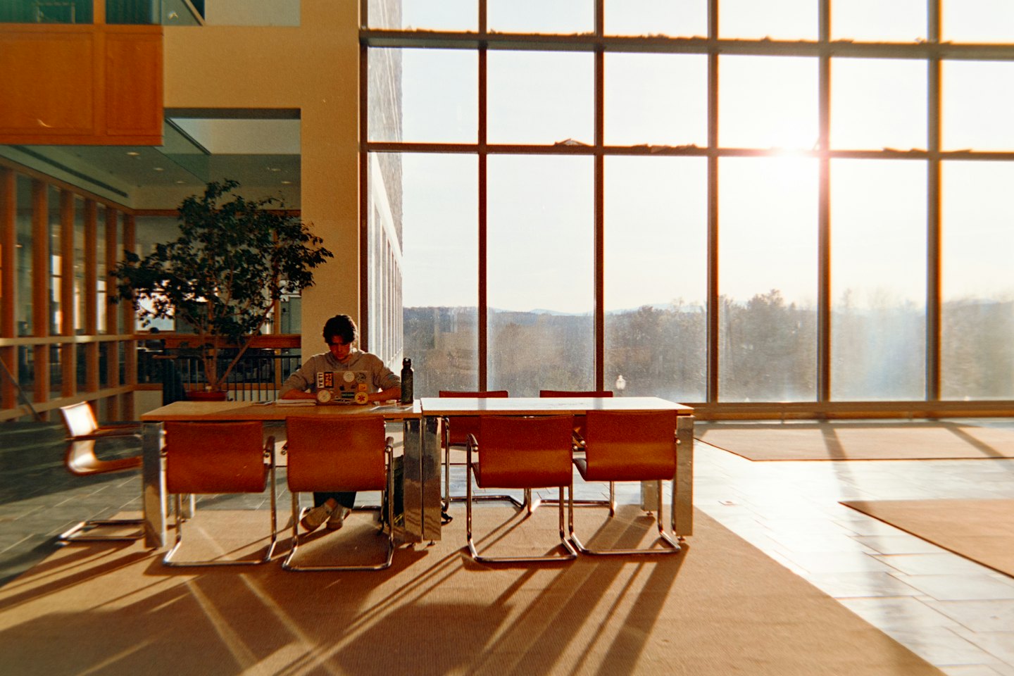 Person working on a laptop at a modern wooden table.